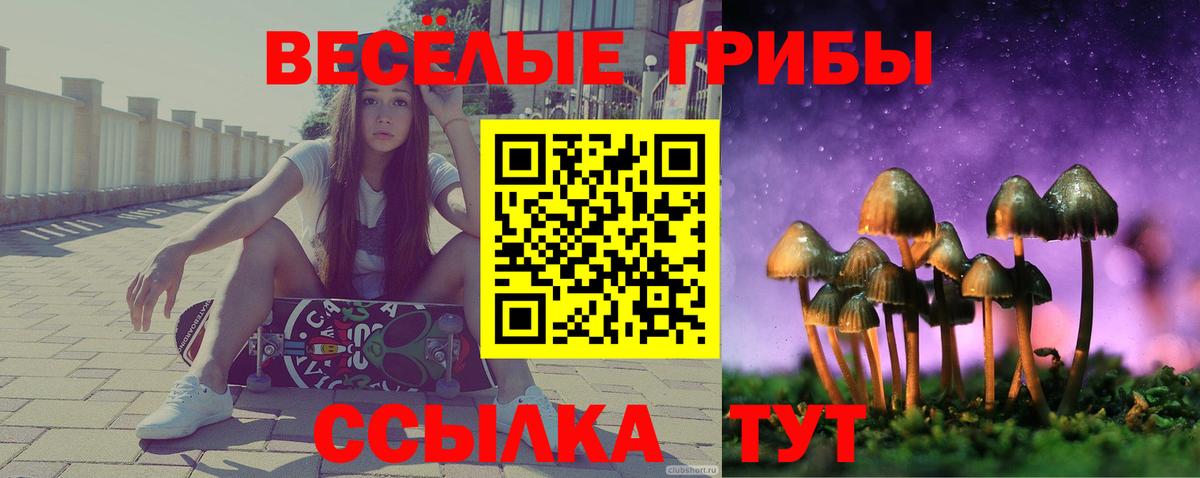 Галлюциногенные грибы Psilocybe Мурино
